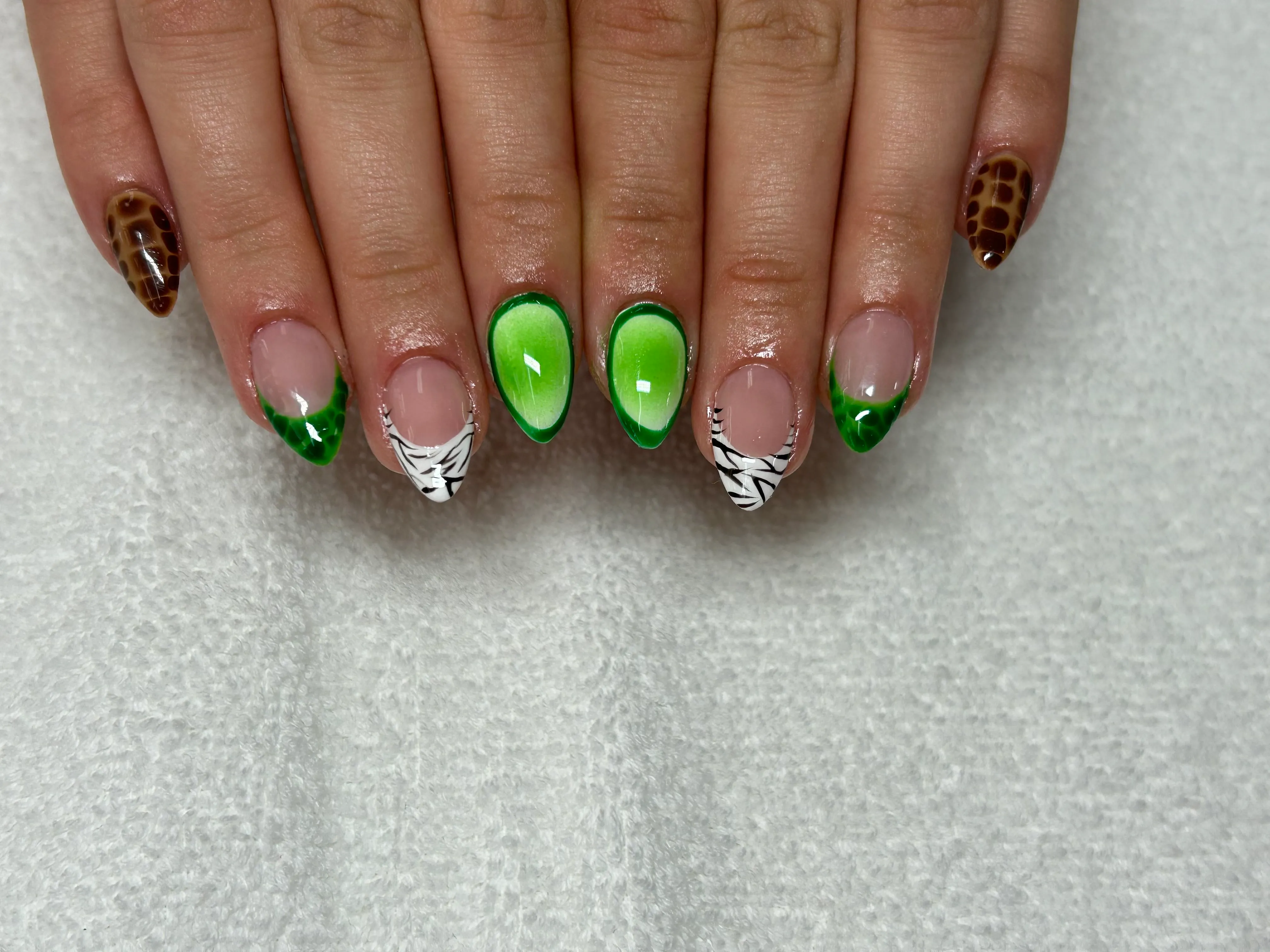 Gallery item 12